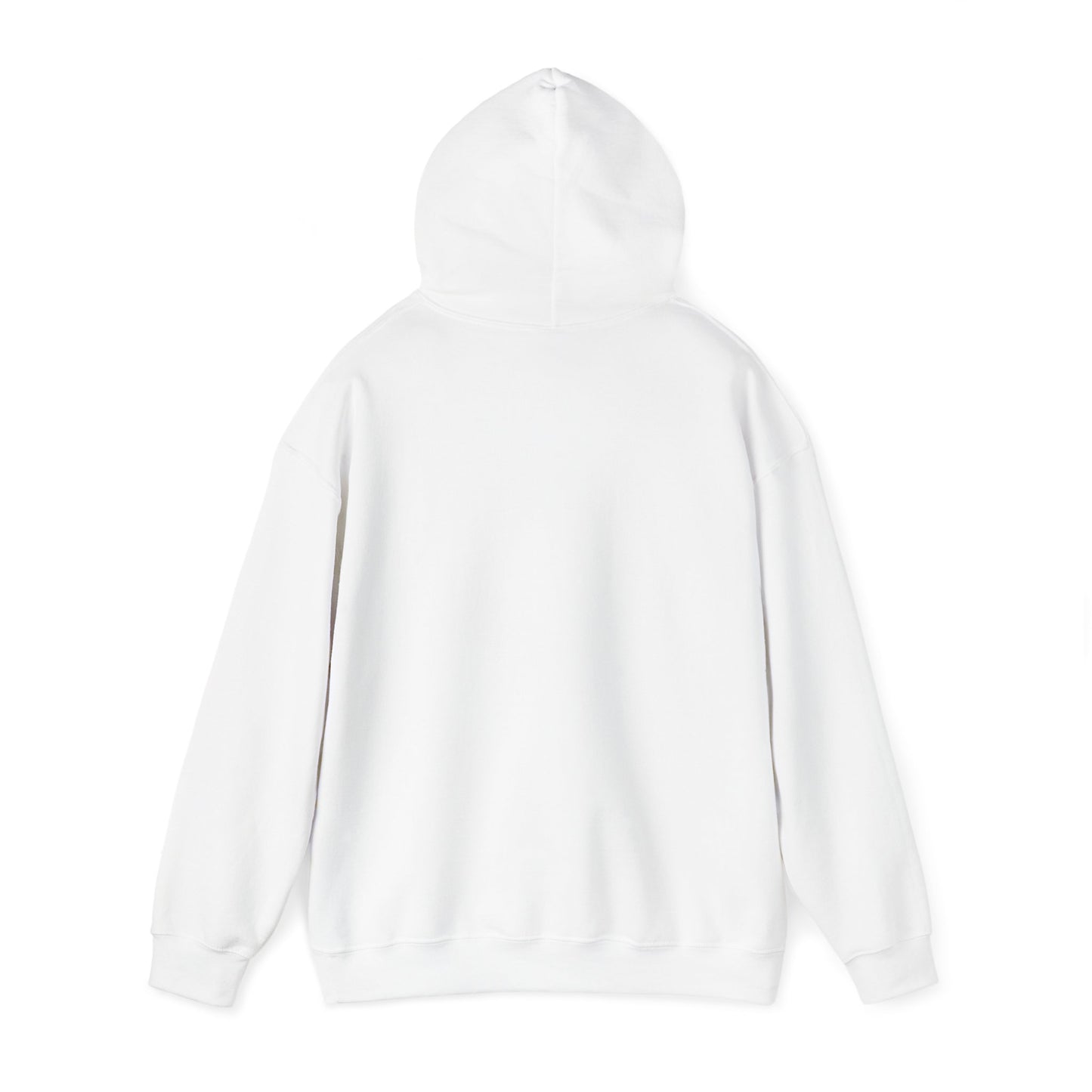 Motorsports Report Basic Hoodie